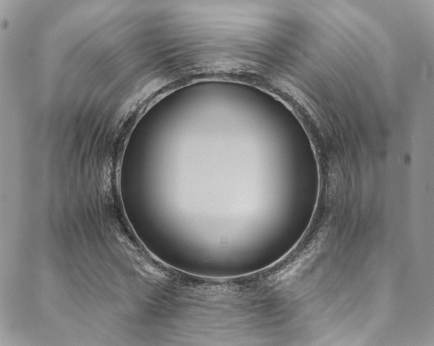 X0000089750778200706211526