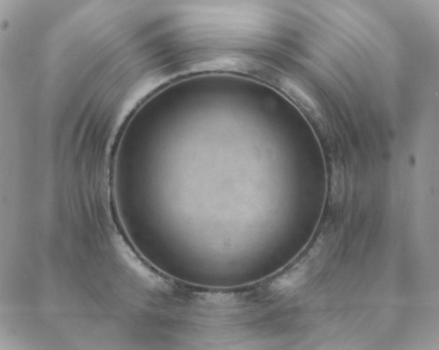 X0000089750800200706211526