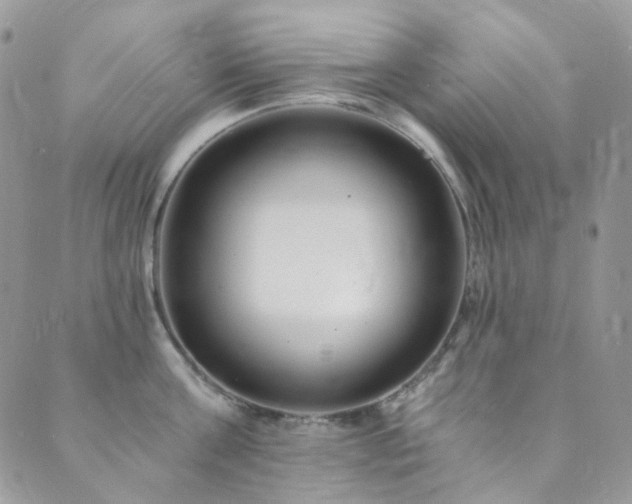X0000089750811200706211525