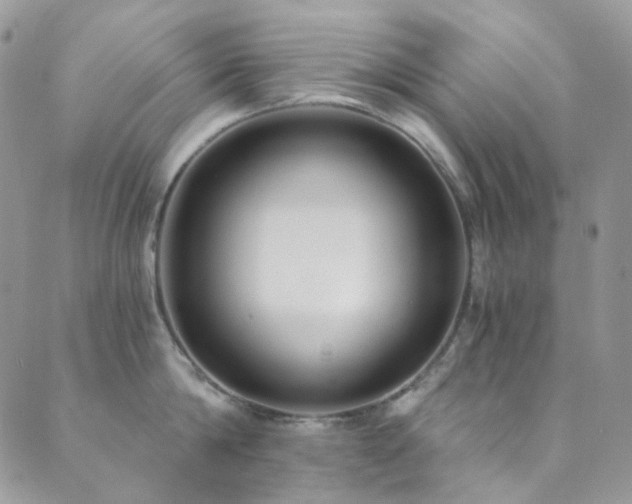 X0000089750814200706211525