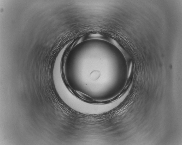 X0000089750818200706211525
