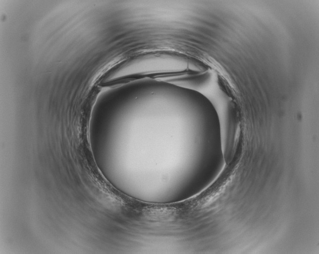 X0000089750826200706211525