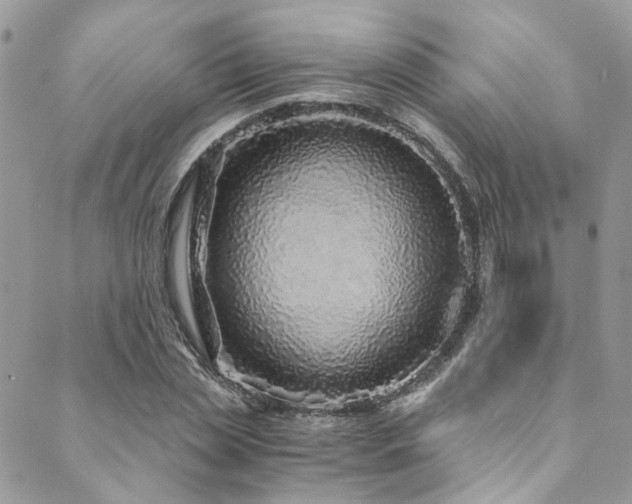 X0000089750829200706211525