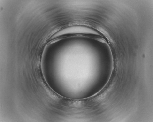 X0000089750841200706211525