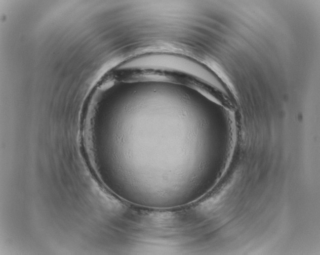X0000089750845200706211525