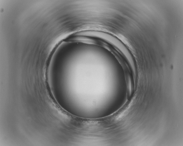 X0000089750846200706211525