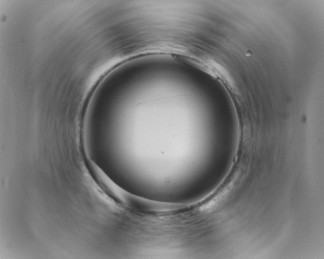 X0000089750854200706211525