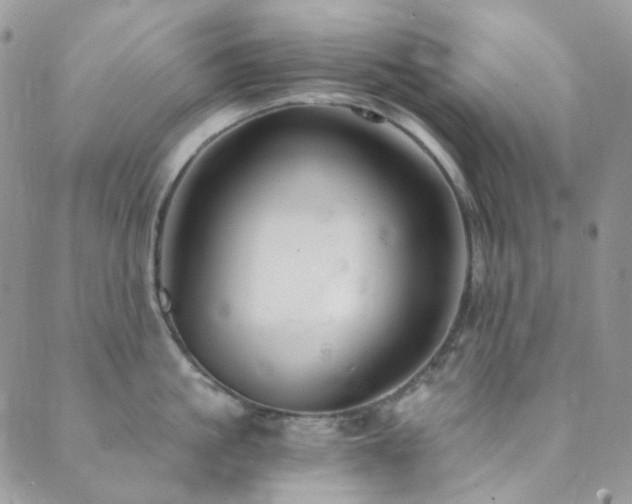 X0000089750861200706211525
