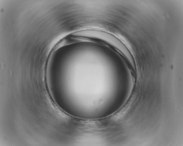 X0000089750862200706211525