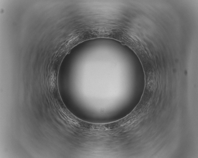X0000089750866200706211524