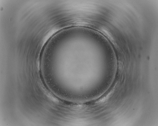 X0000089750891200706211524
