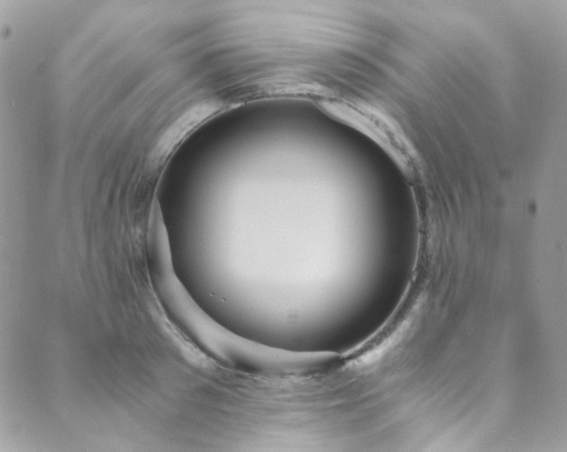 X0000089750897200706211524