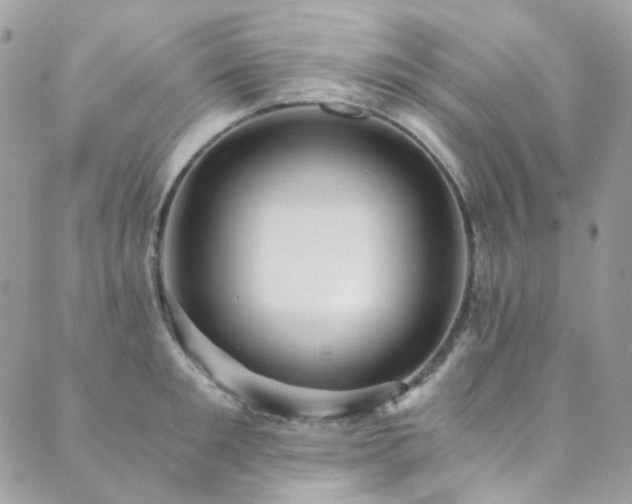 X0000089750901200706211524