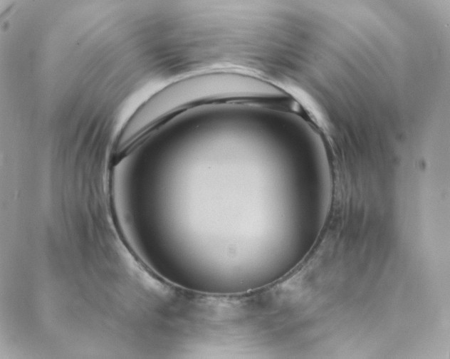 X0000089750910200706211524