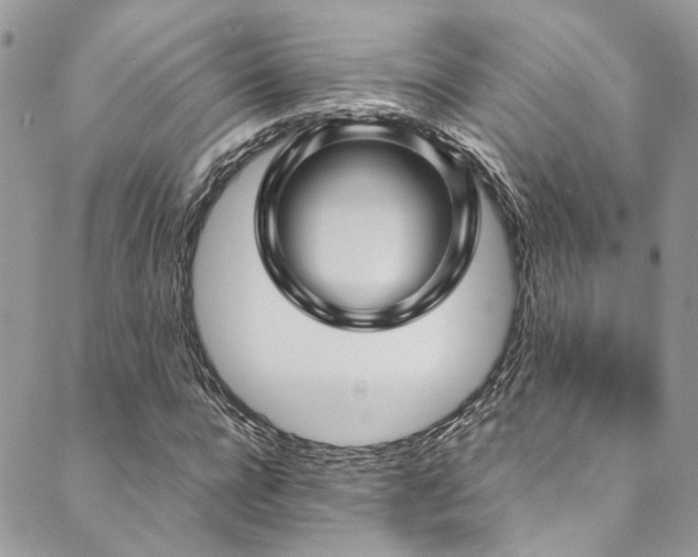 X0000089750920200706211523