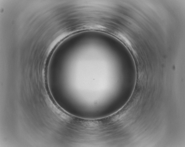 X0000089750947200706211523