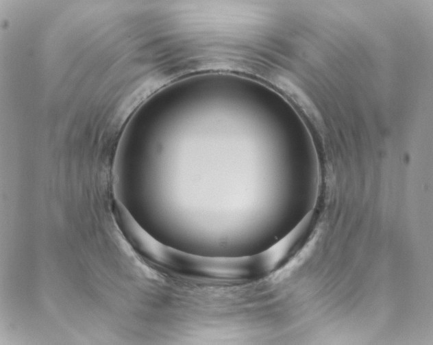 X0000089750993200706211522