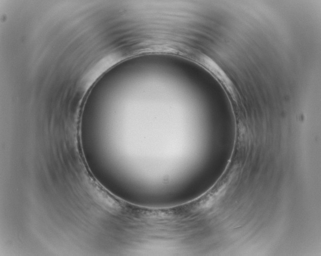 X0000089751002200706211522