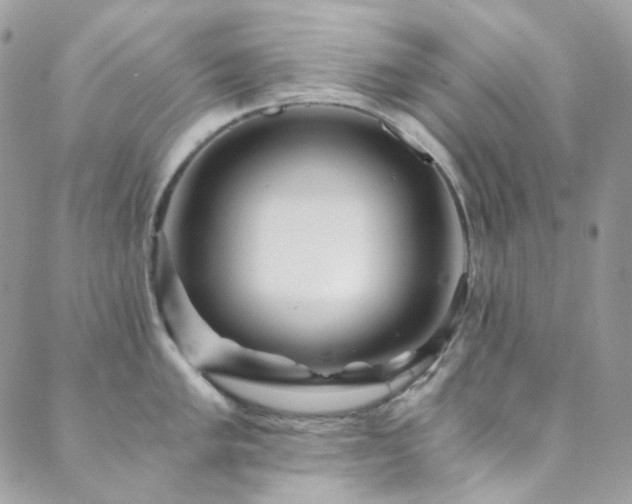 X0000089751005200706211522