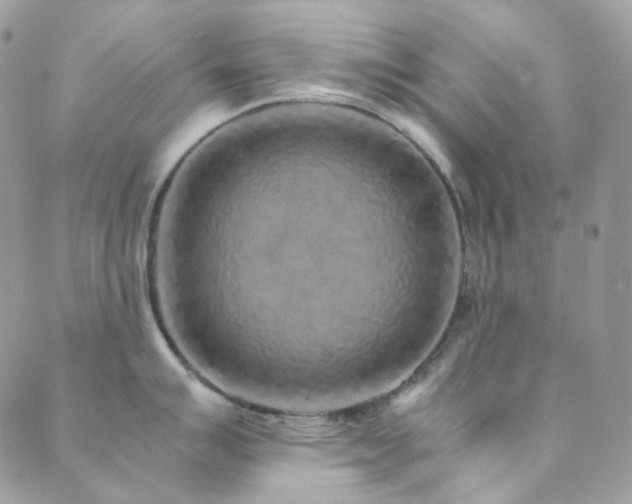 X0000089751007200706211522