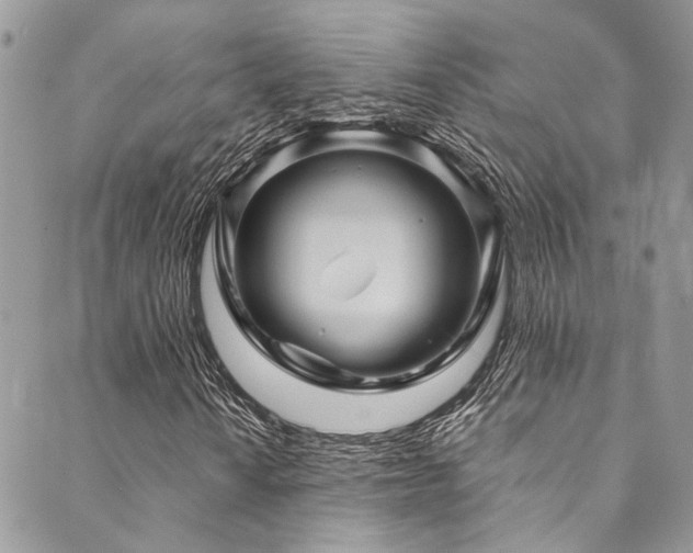 X0000089751010200706211521