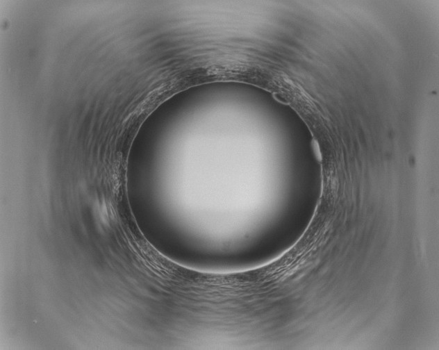 X0000089751012200706211521