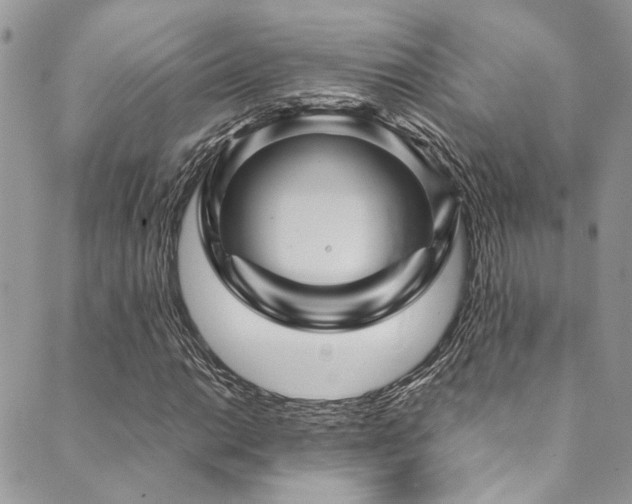 X0000089751014200706211521