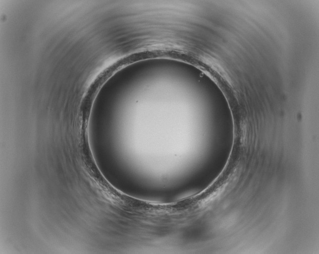 X0000089751021200706211522