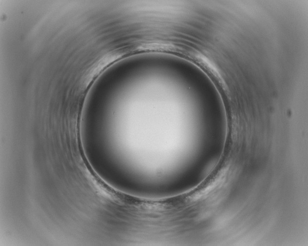 X0000089751041200706211522