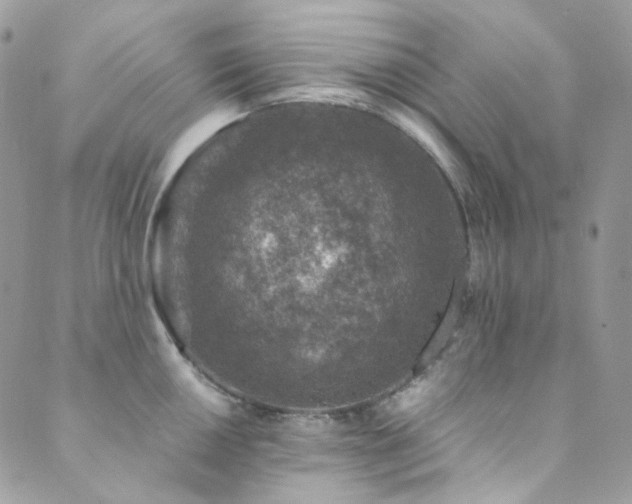X0000089751050200706211522
