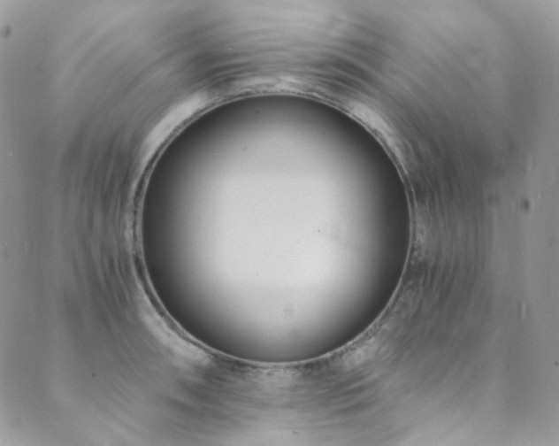 X0000089751090200706211521