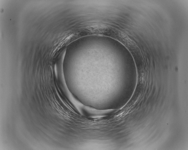 X0000089751108200706211520