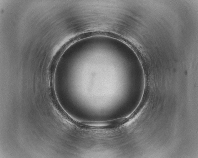 X0000089751118200706211520