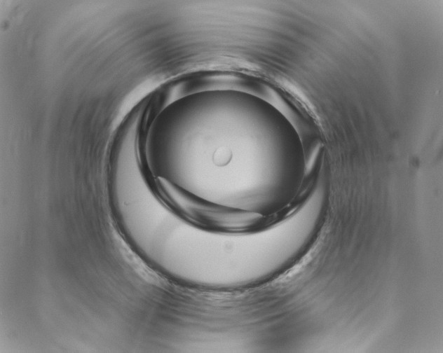 X0000089751122200706211520