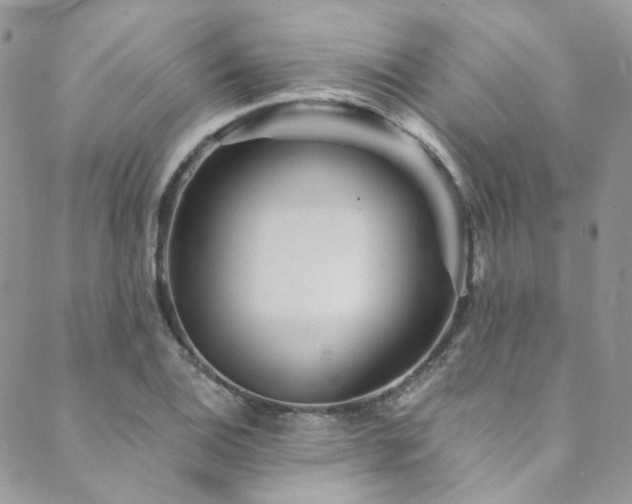 X0000089751124200706211520