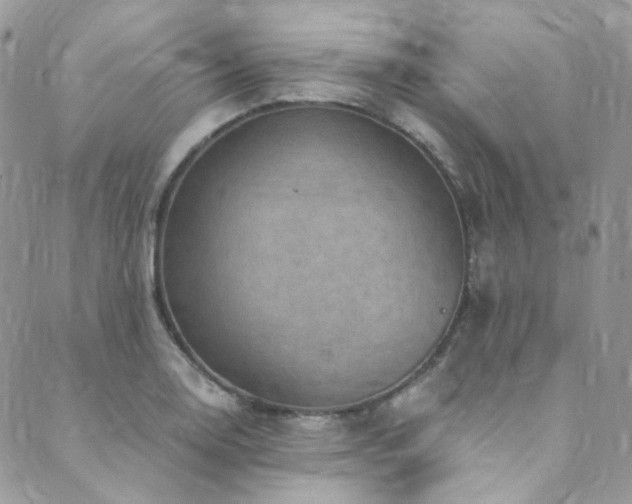 X0000089751130200706211520