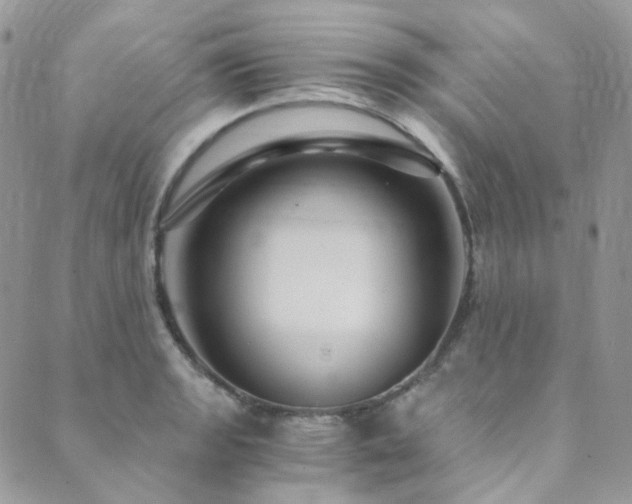 X0000089751133200706211520