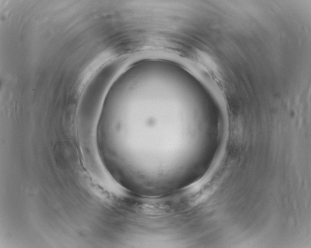 X0000089751138200706211520