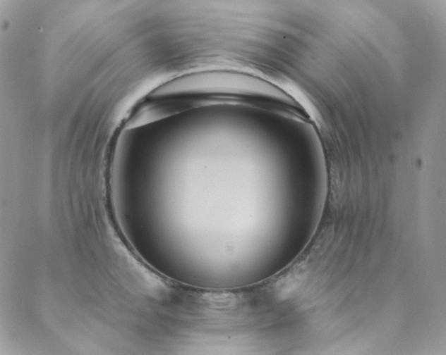 X0000089751142200706211520