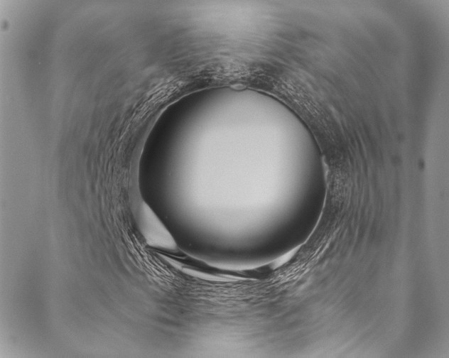 X0000089751153200706211520