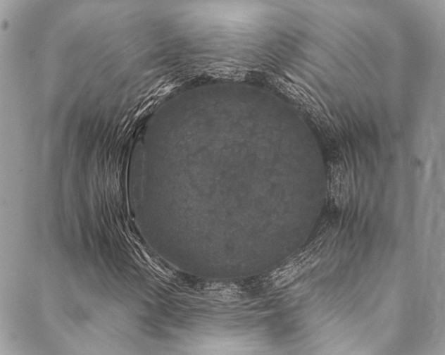 X0000089751154200706211520
