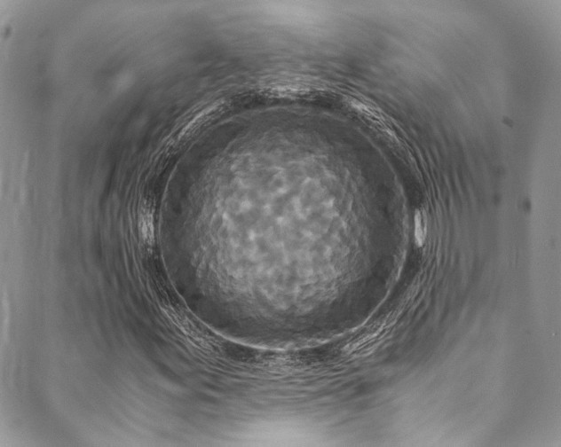 X0000089751155200706211520
