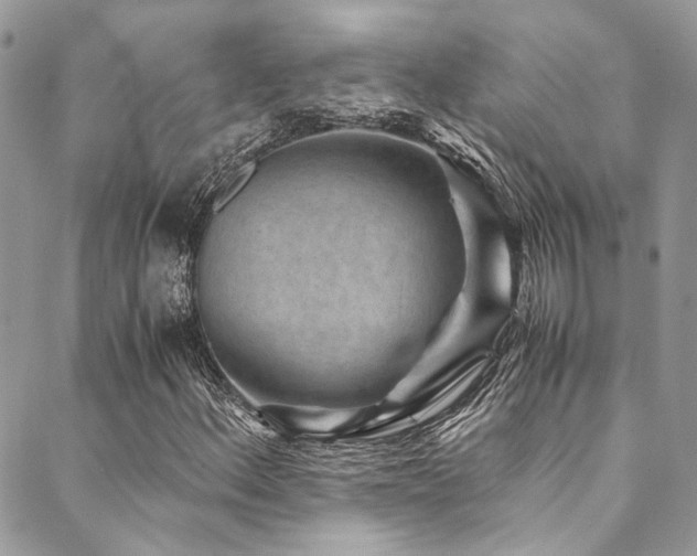 X0000089751156200706211520