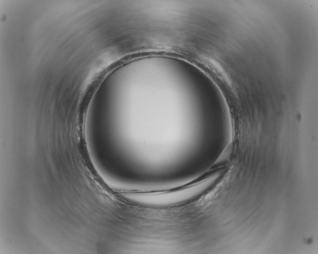 X0000089751172200706211519