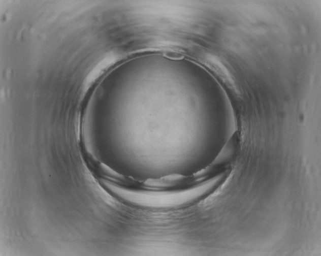 X0000089751180200706211519