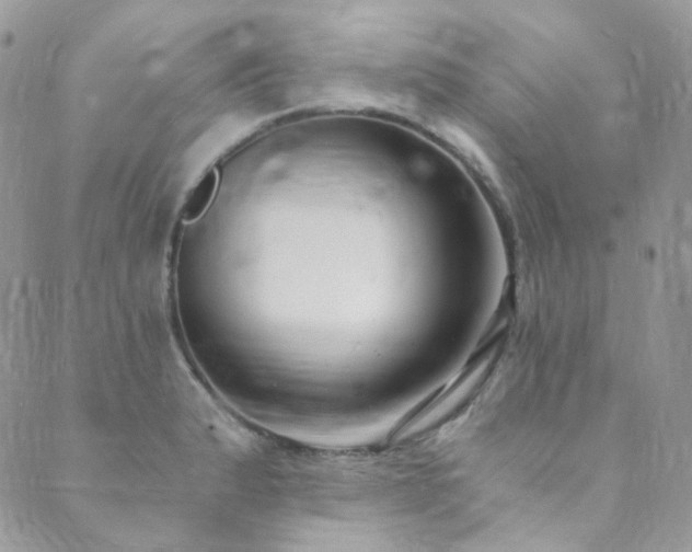 X0000089751183200706211519
