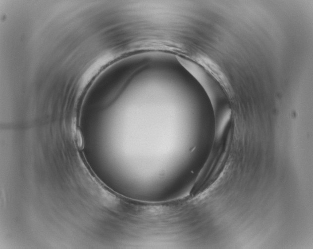 X0000089751188200706211519