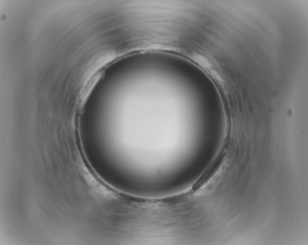 X0000089751189200706211519