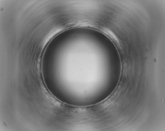 X0000089751190200706211519