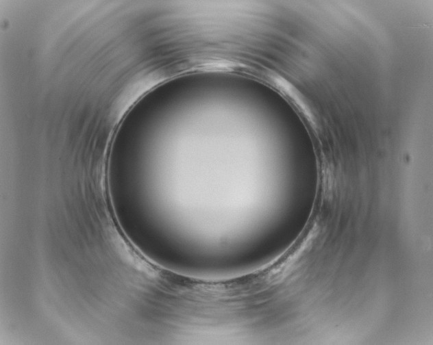 X0000089751194200706211519